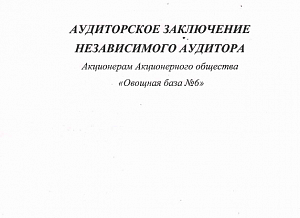 Аудиторское заключение