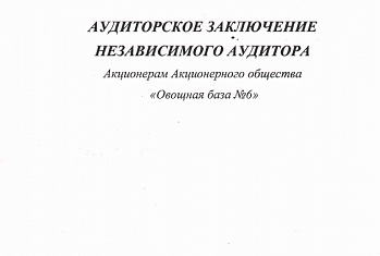 Аудиторское заключение